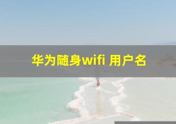 华为随身wifi 用户名